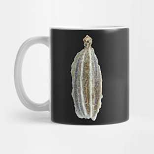 Carrot seed under microscope Mug